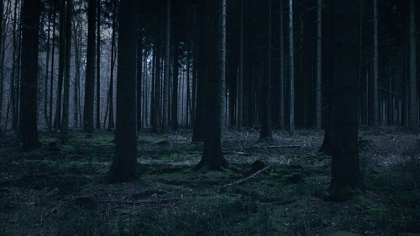 Foresta scura di notte, 1366x768 HD, PC Desktop