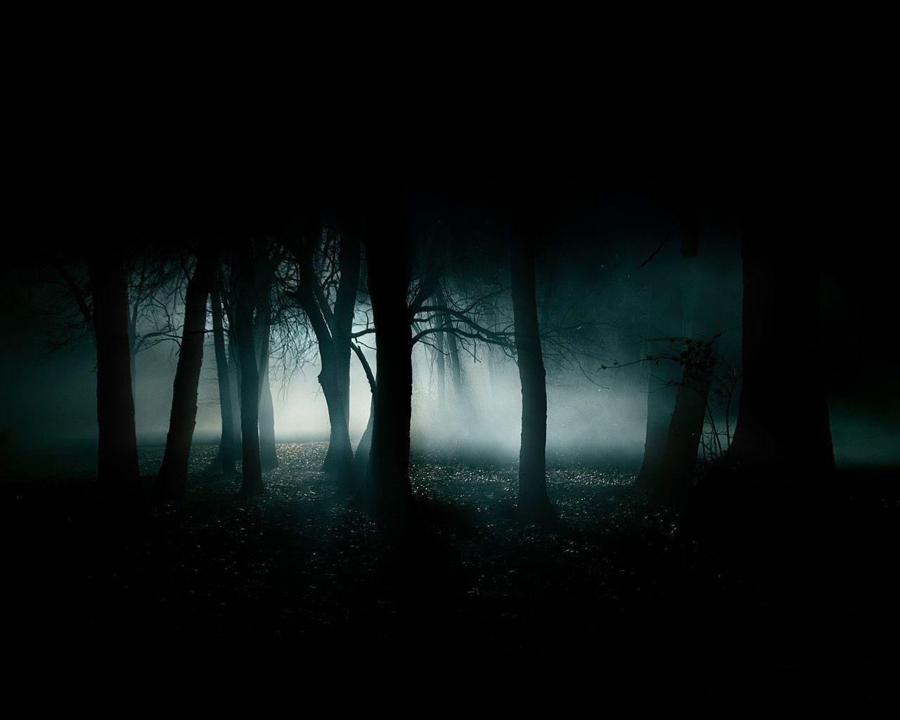 Foresta buia nebbiosa notturna, 1280x1024 HD, Desktop