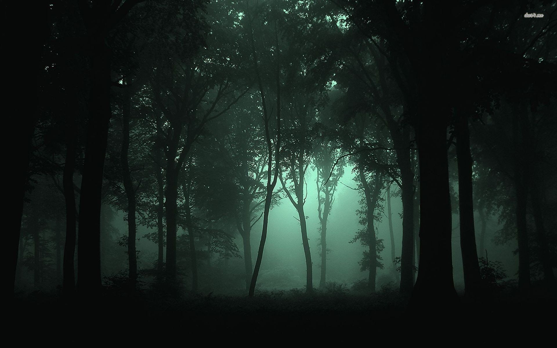 Foresta notturna nebbiosa verde, 1920x1200 Full HD+ WUXGA, PC