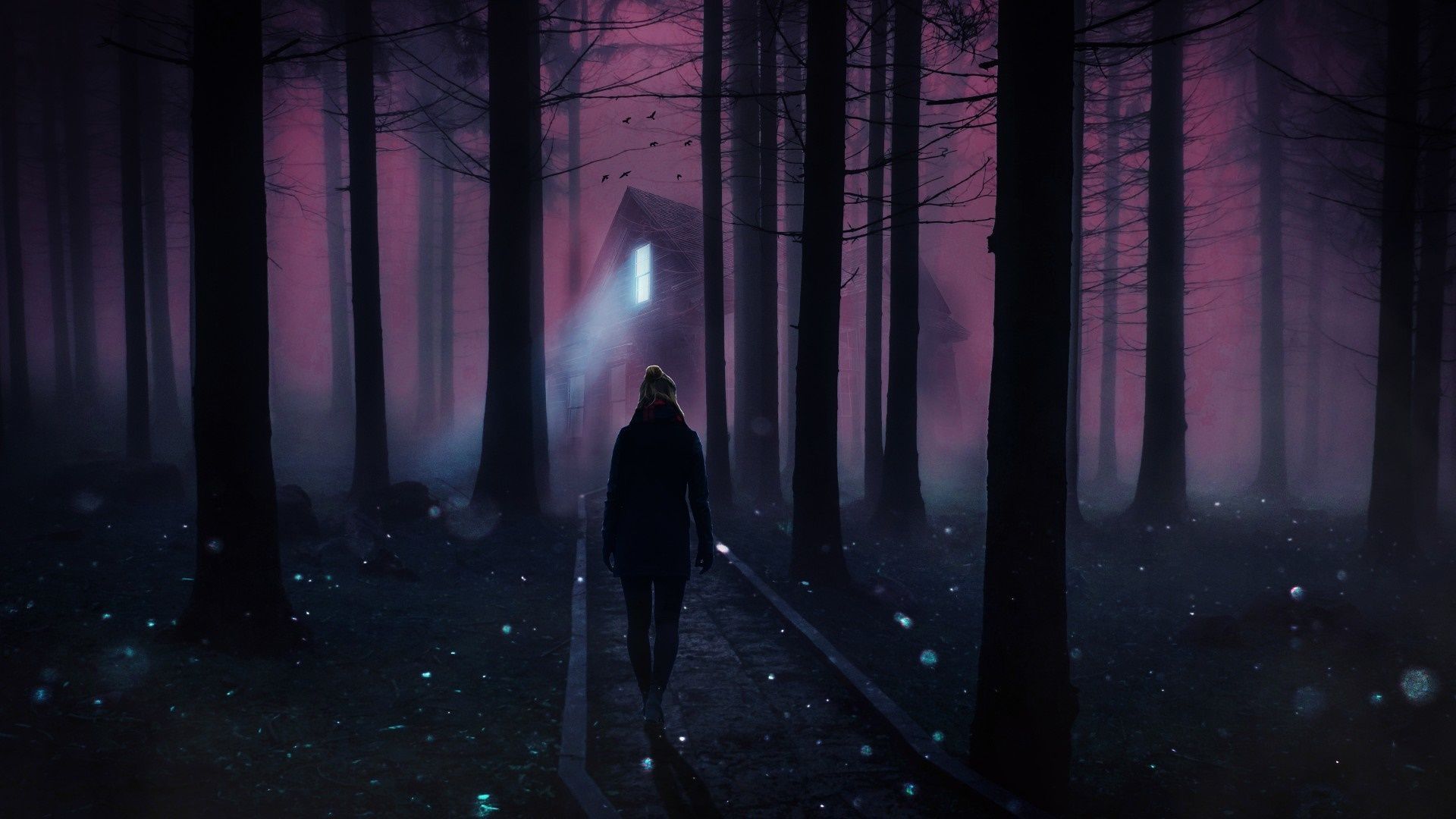 Figura solitaria foresta notturna, 1920x1080 Full HD, Desktop