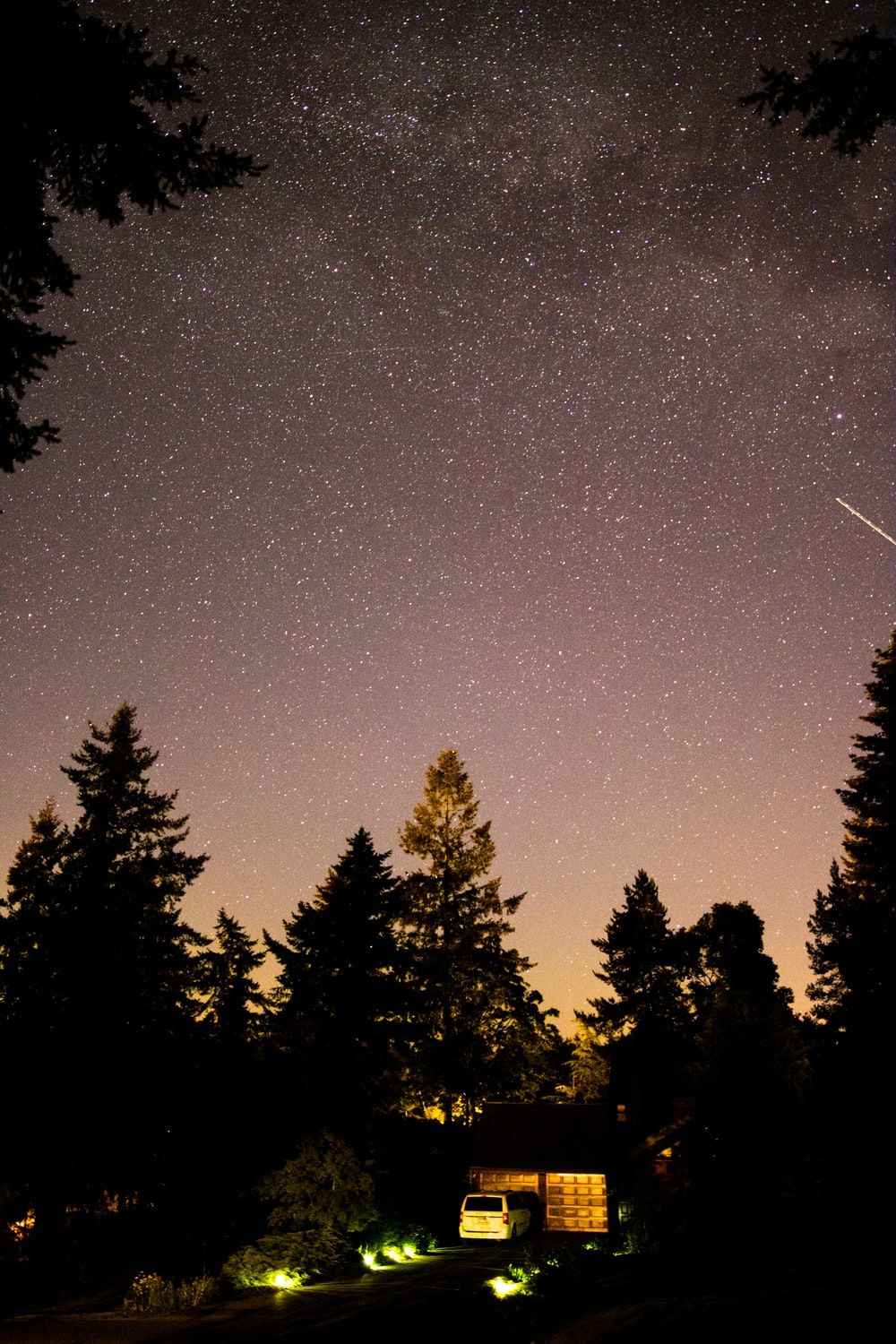 Foresta di notte stellata, 1000x1500 Full HD Verticale, Smartphone