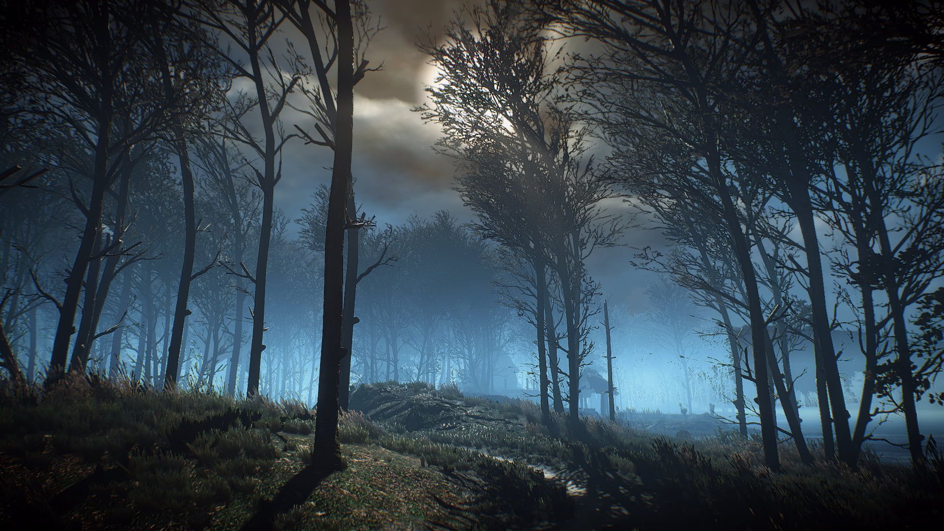 Foresta scura di notte, 1920x1080 Full HD, PC