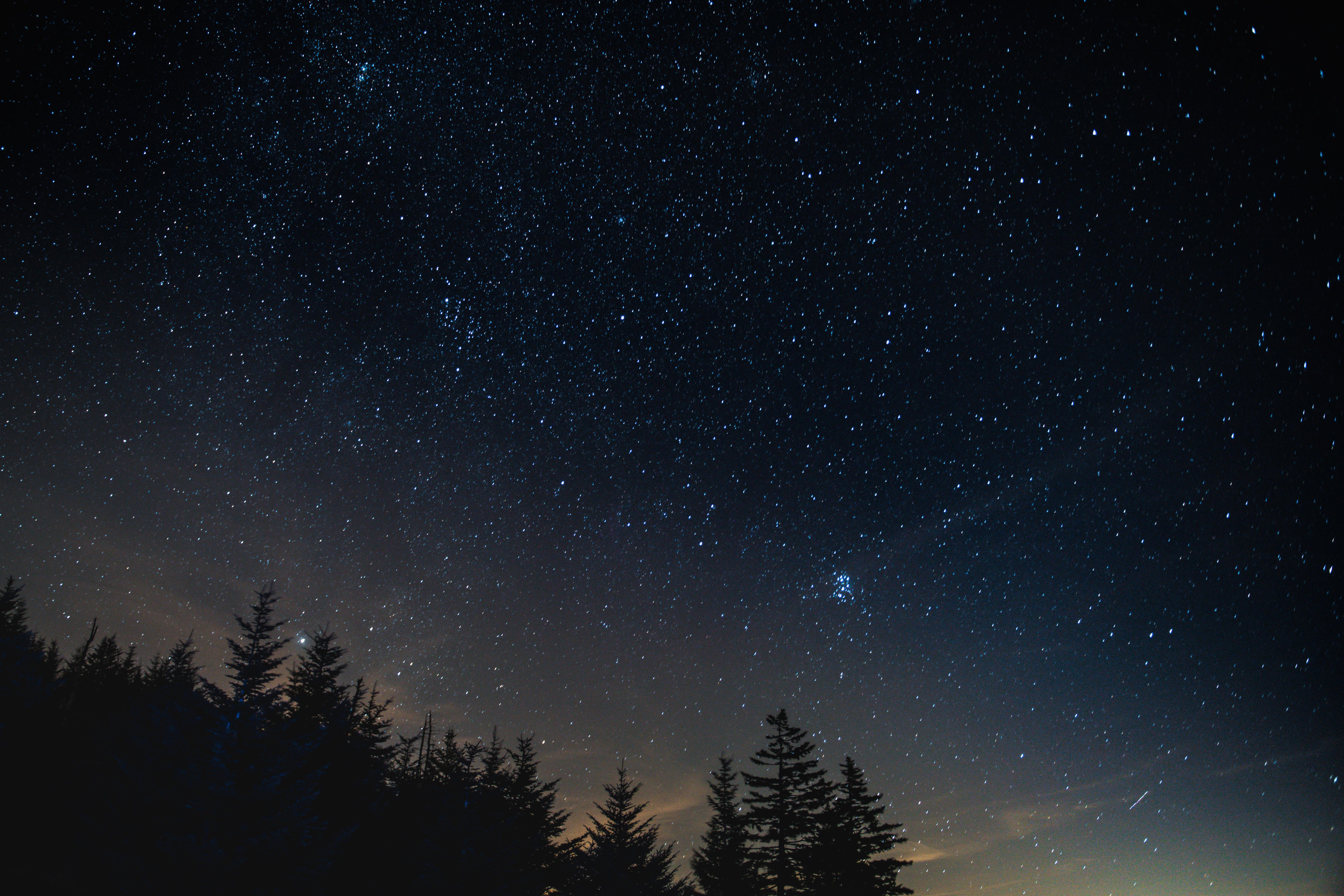 Foresta silhouette cielo stellato, 7000x4669 UHD, Monitor 4K