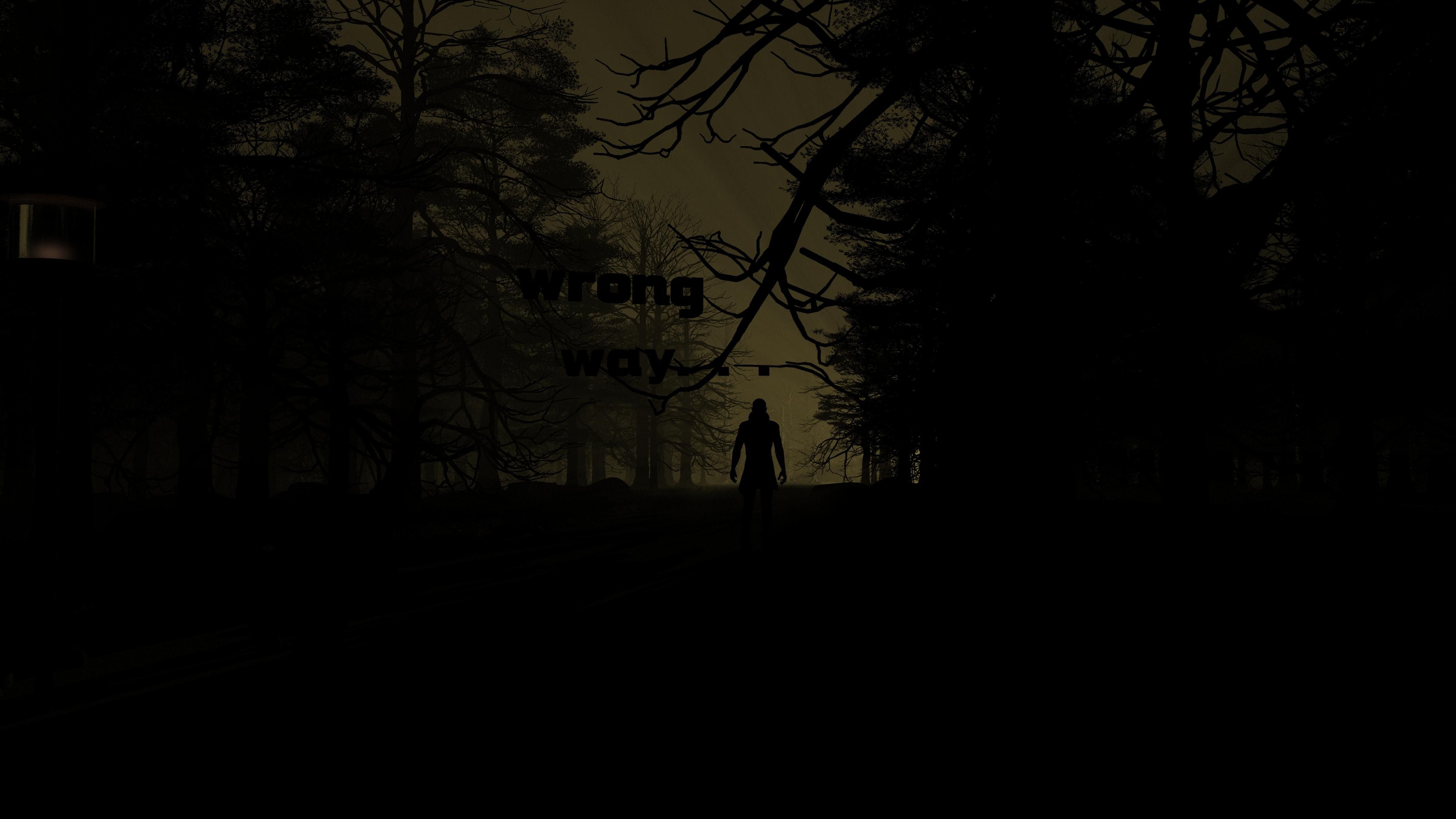 Silhouette foresta buio notturno, 4220x2374 4K Ultra HD, Monitor 4K