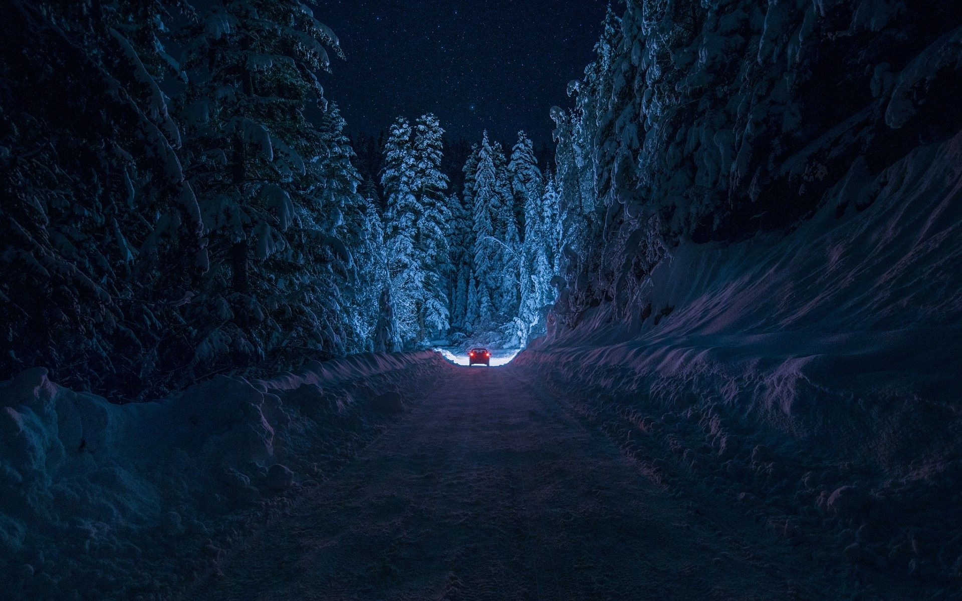 Foresta innevata di notte, sentiero, 1920x1200 Full HD+, Desktop