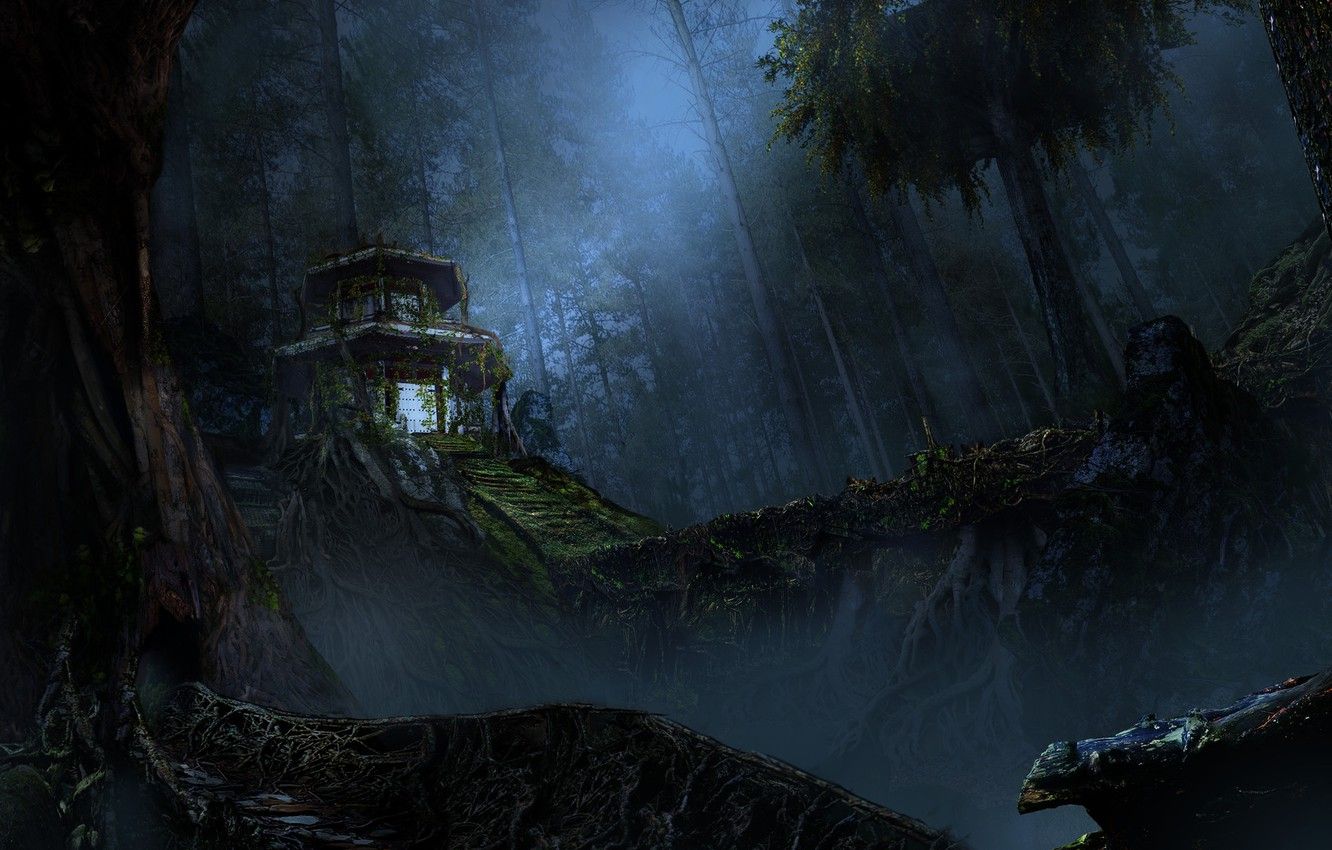 Casa nella foresta notturna, 1332x850 720p, MacBook Air