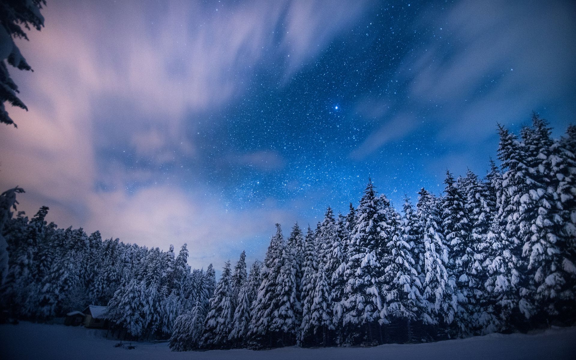 Foresta innevata di notte, 1920x1200 WUXGA, Desktop