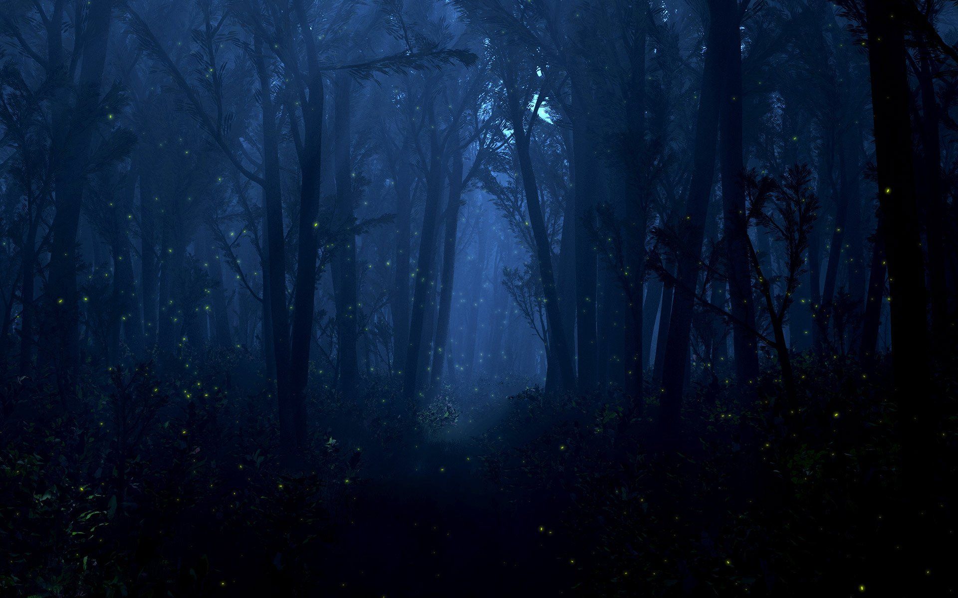 Foresta scura di notte, 1920x1200 Full HD+, Laptop