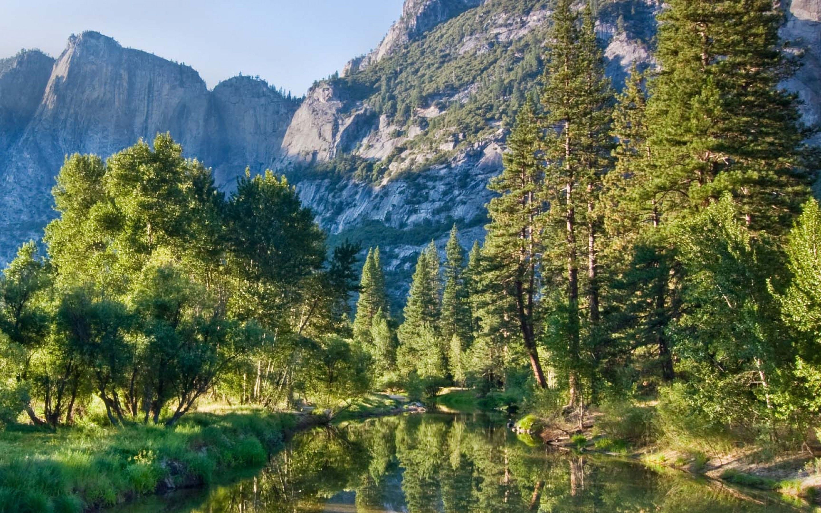 Foresta di pini con montagne, 2880x1800 2K, MacBook Pro