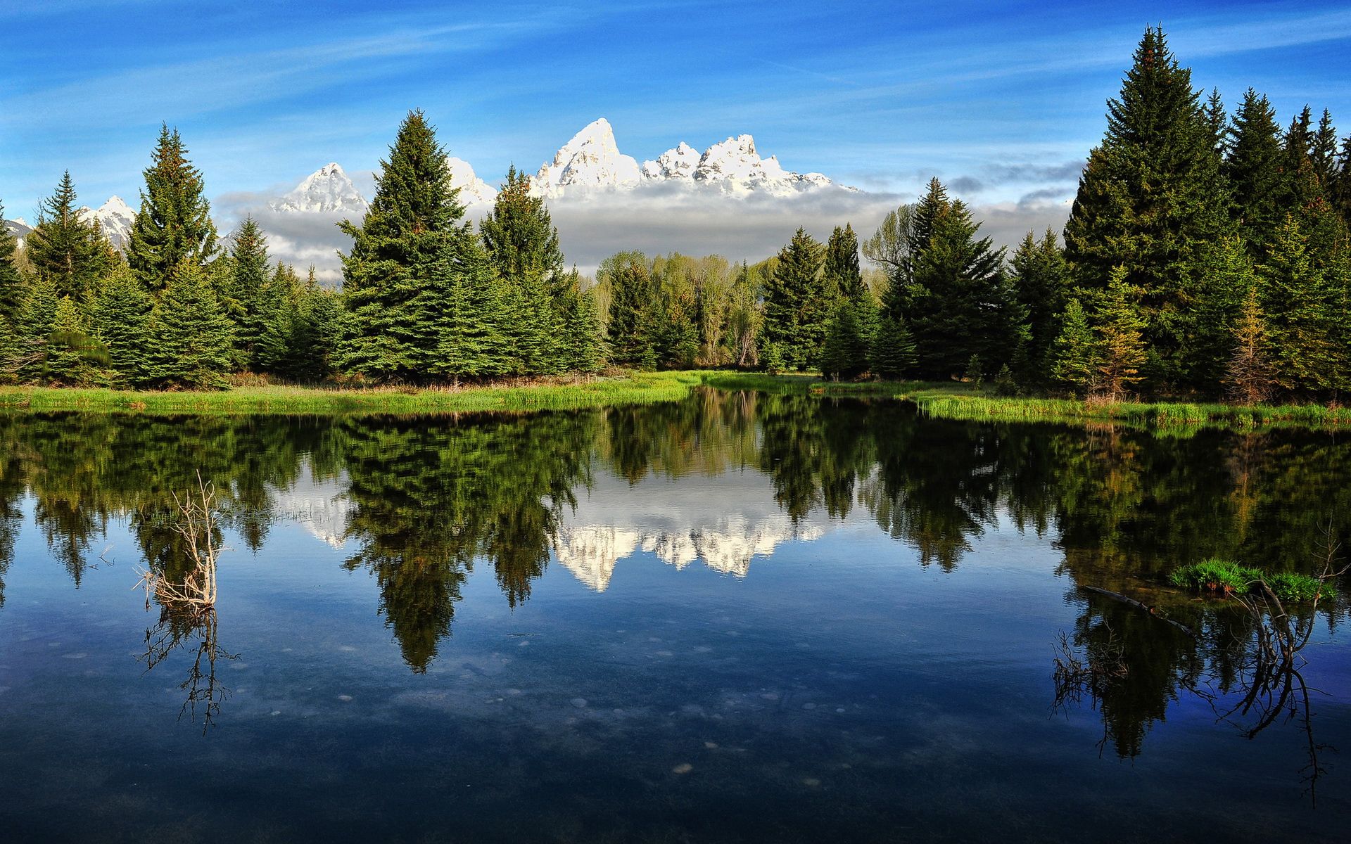 Foresta di pini con lago, 1920x1200 Full HD+, Laptop