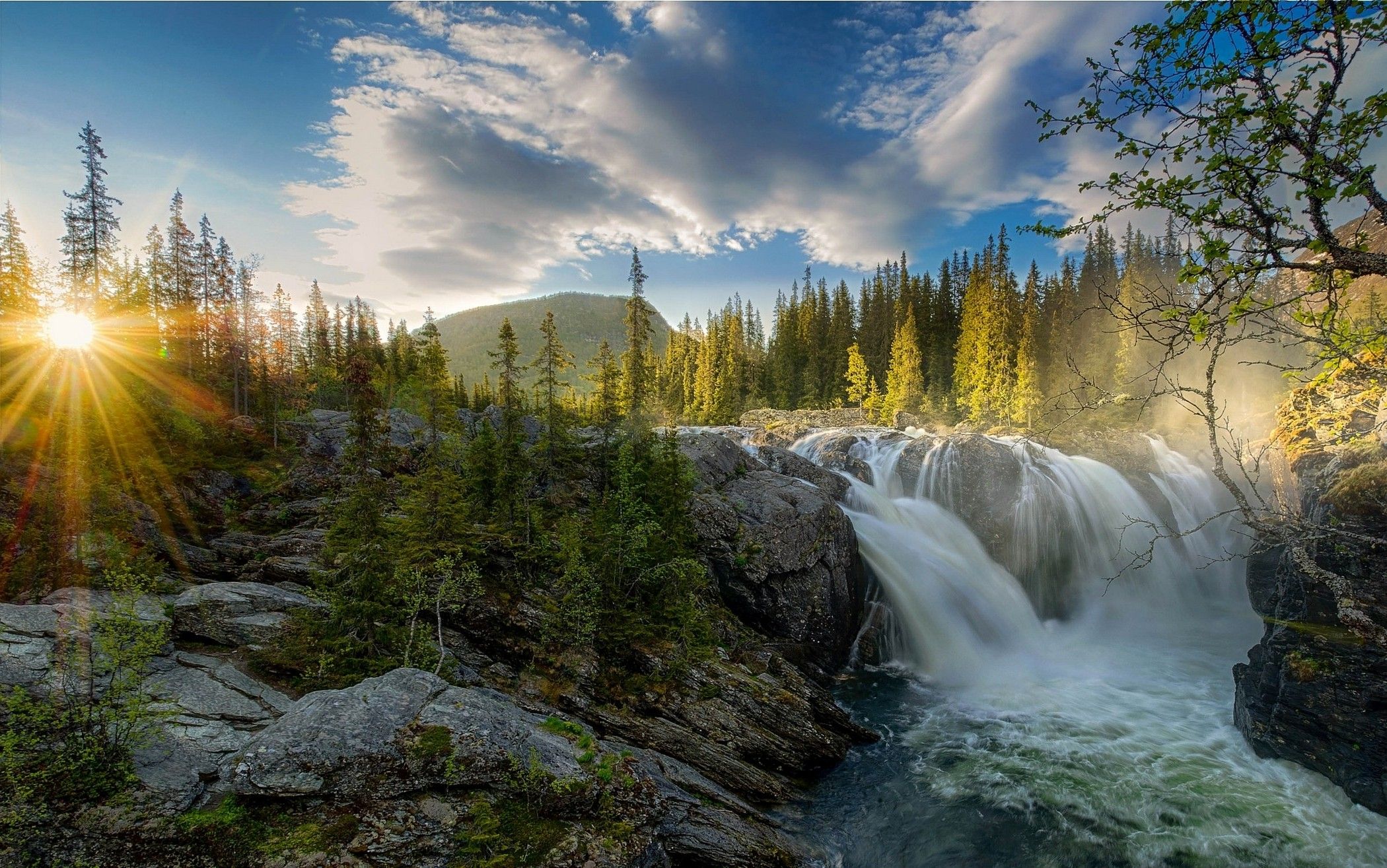 Cascata al tramonto tra pini, 2100x1315 alta risoluzione, Laptop