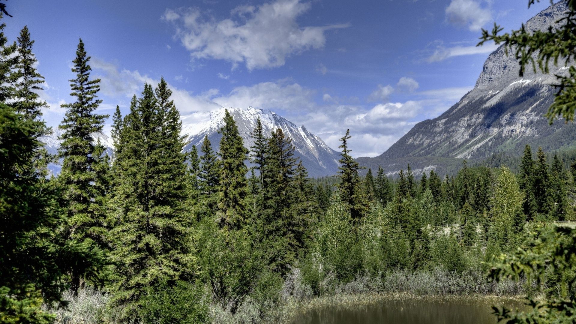 Foresta di pini con montagne, 1920x1080 Full HD, Desktop