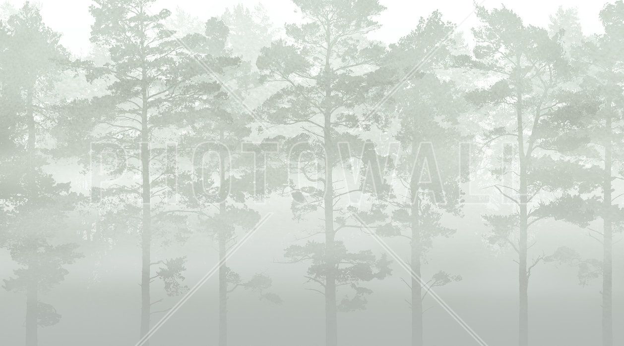 Foresta di pini nella nebbia, 1258x699 HD, Laptop