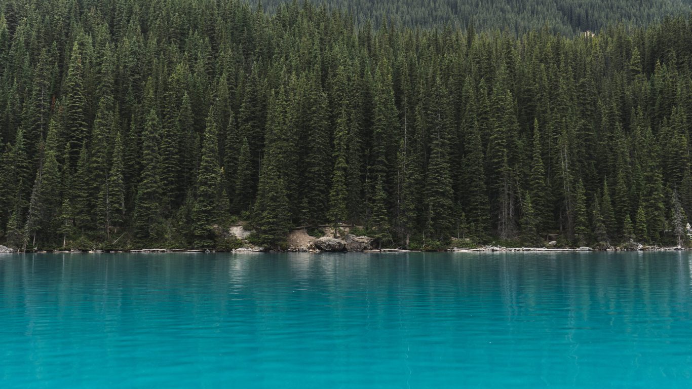 Foresta di pini e lago turchese, 1366x768 HD, Desktop