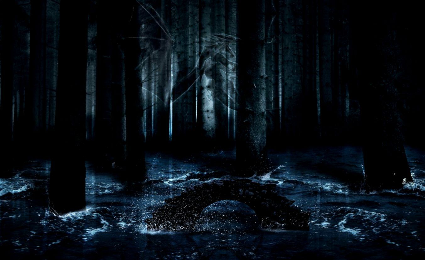 Foresta scura con acqua, 1353x828 720p, Laptop