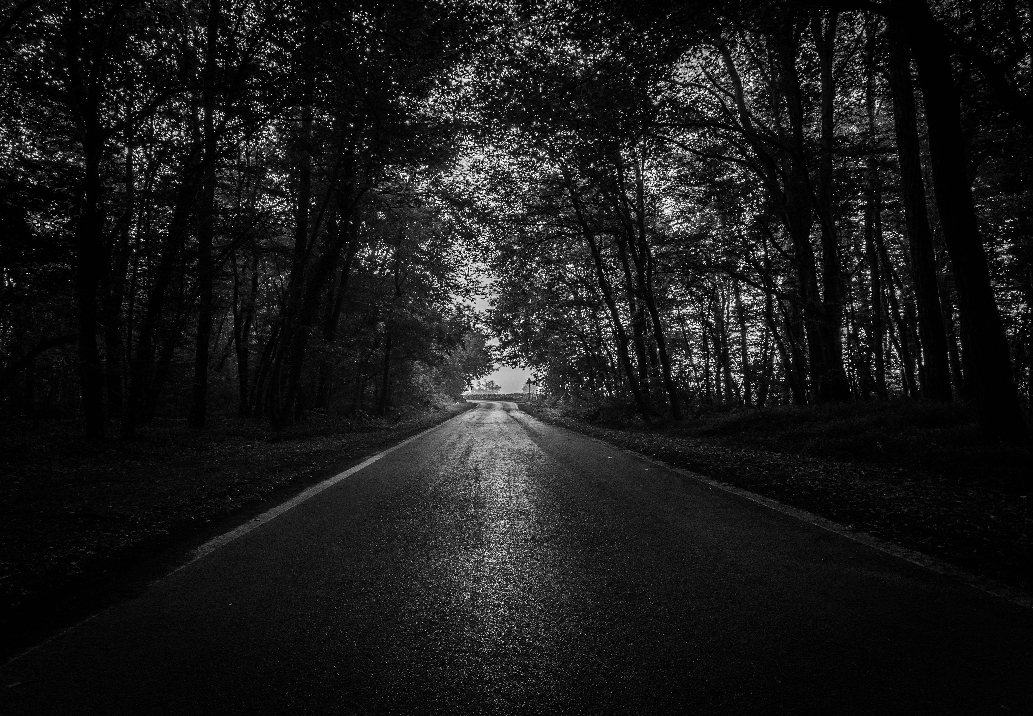Strada buia nella foresta, 4098x2841 4K, Desktop 4K