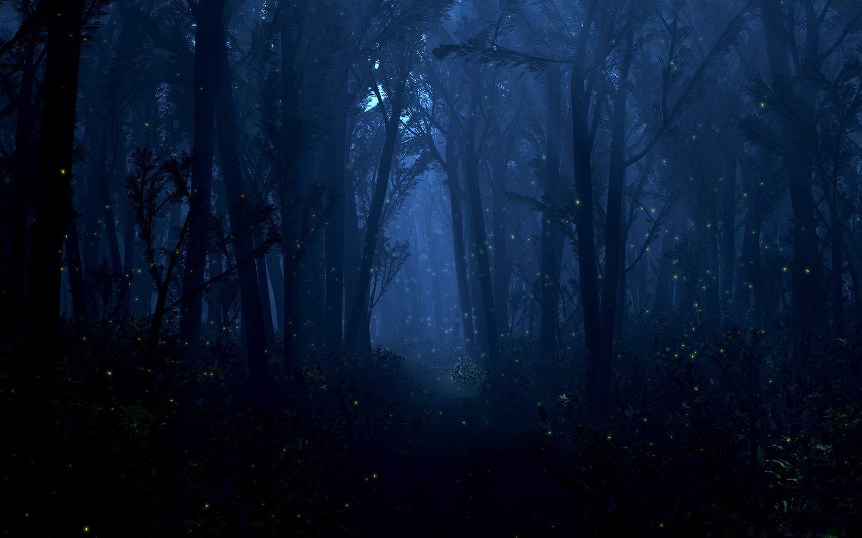 Foresta scura notturna con lucciole, 1680x1050 900p, Desktop