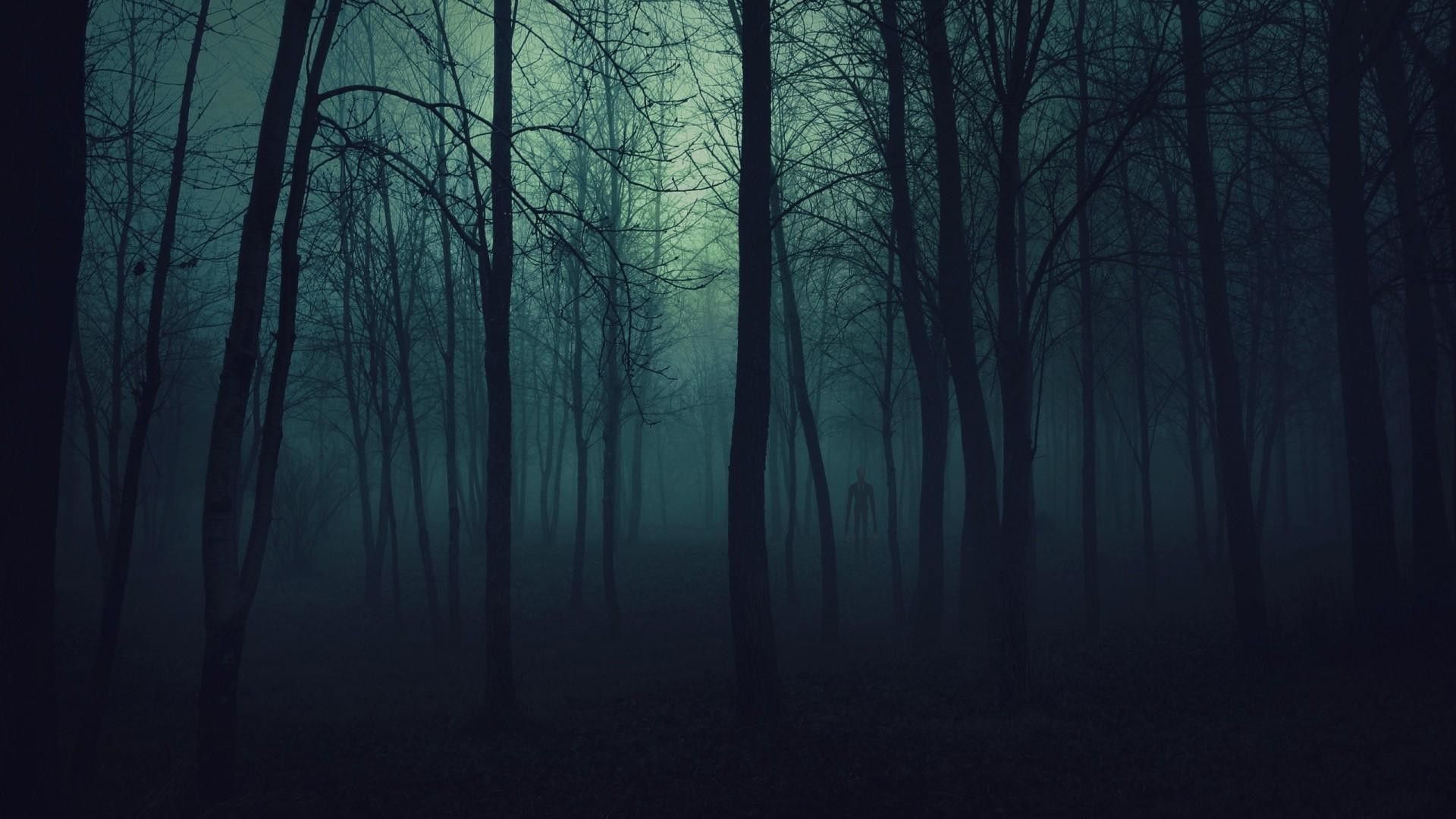 Foresta oscura nebbiosa notturna, 1920x1080 Full HD 1080p, Desktop
