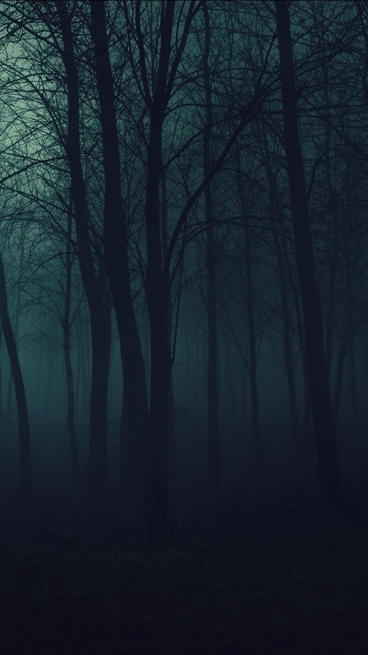 Foresta scura nebbiosa notturna, 720x1280 Full HD Verticale, Smartphone