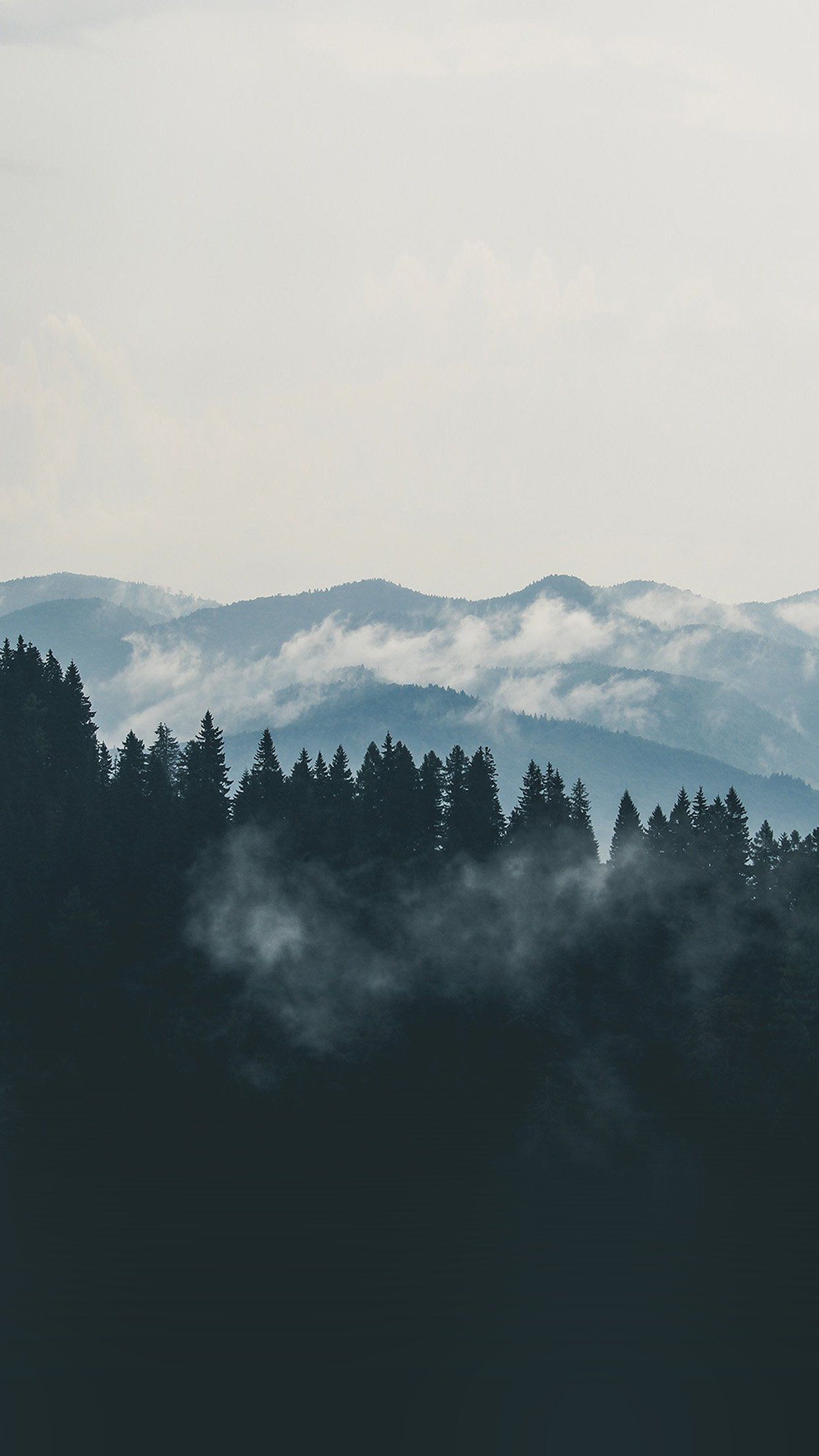 Foresta e montagne nella nebbia, 1242x2208 Full HD Verticale, iPhone Pro Max