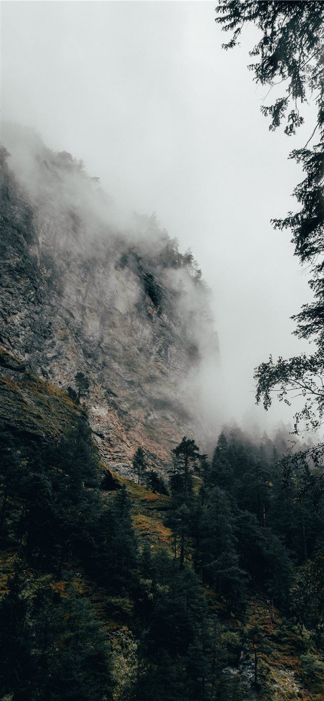 Binari ferroviari tra foresta, 1125x2436 Verticale, iPhone Pro