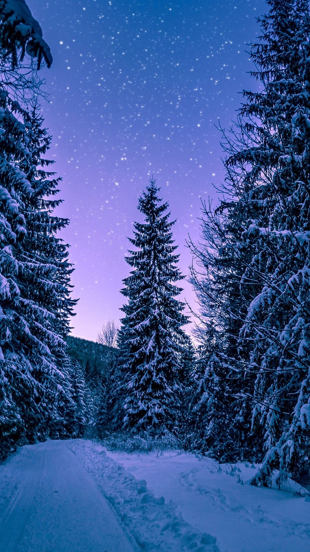 Foresta innevata notte stellata, 1080x1920 Full HD Verticale, iPhone Pro Max
