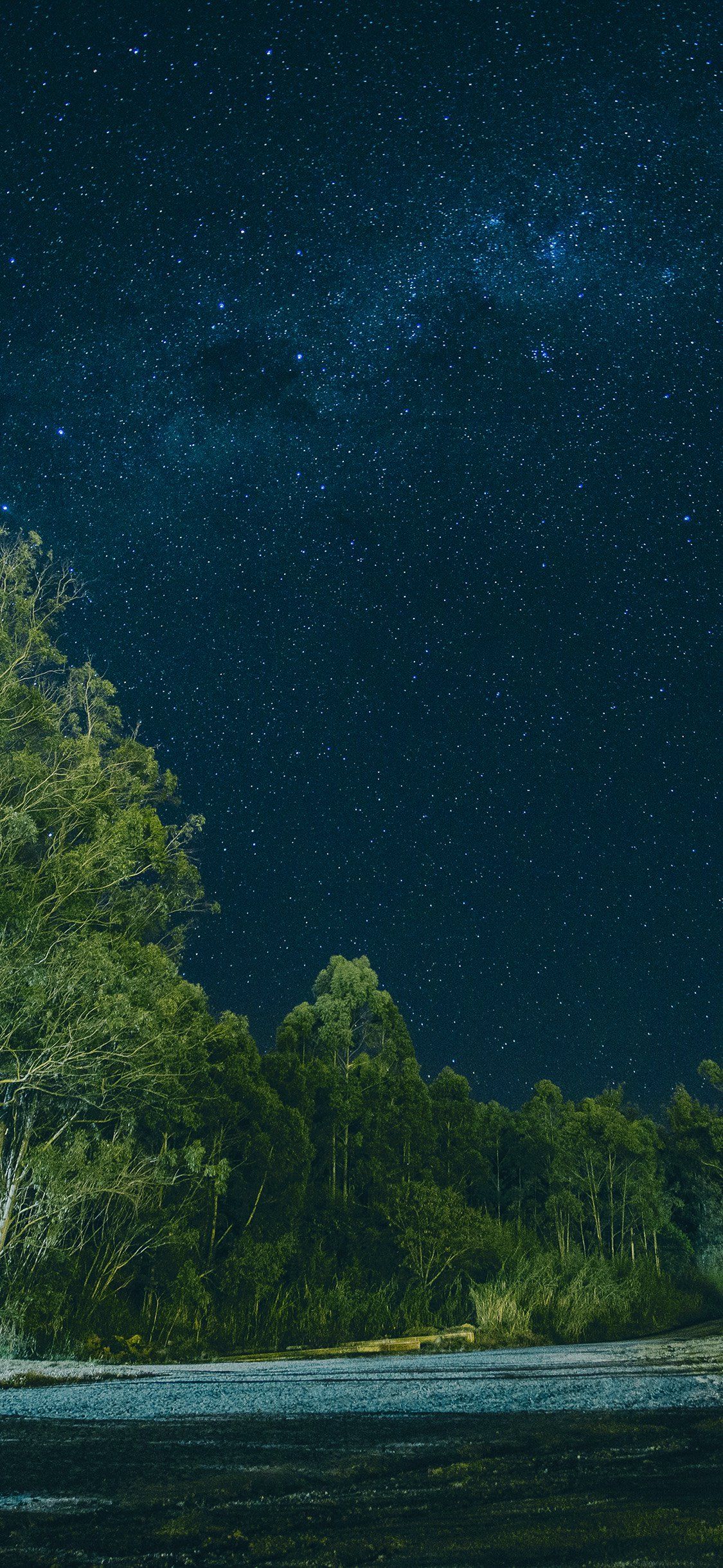 Vista aerea foresta scura, 1440x2560 Verticale, iPhone Air