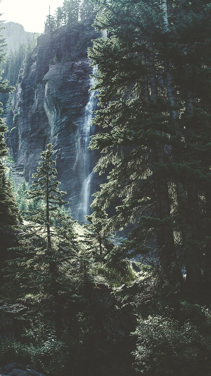 Cascata nella foresta verde, 736x1308 Full HD Verticale, iPhone Plus