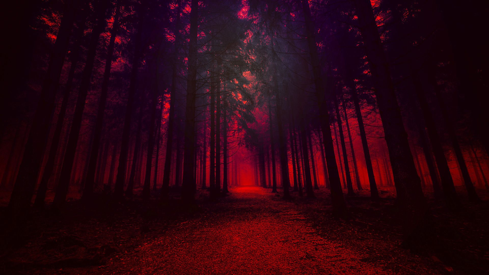 Foresta rossa artistica scura, 1920x1080 Full HD 1080p, Laptop