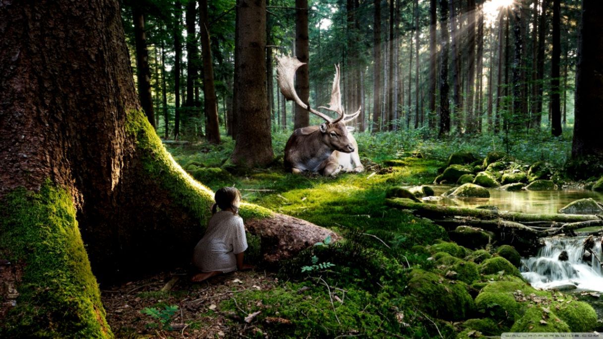 cervo bambino foresta fantasy, 1216x684 HD, Desktop