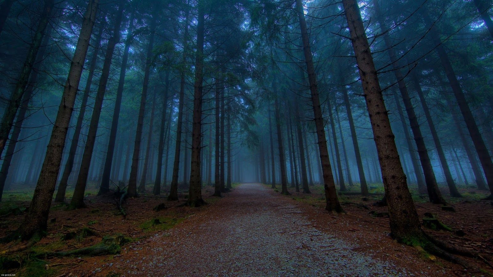 foresta cupa sentiero crepuscolo, 1600x900 HD Ready, Laptop