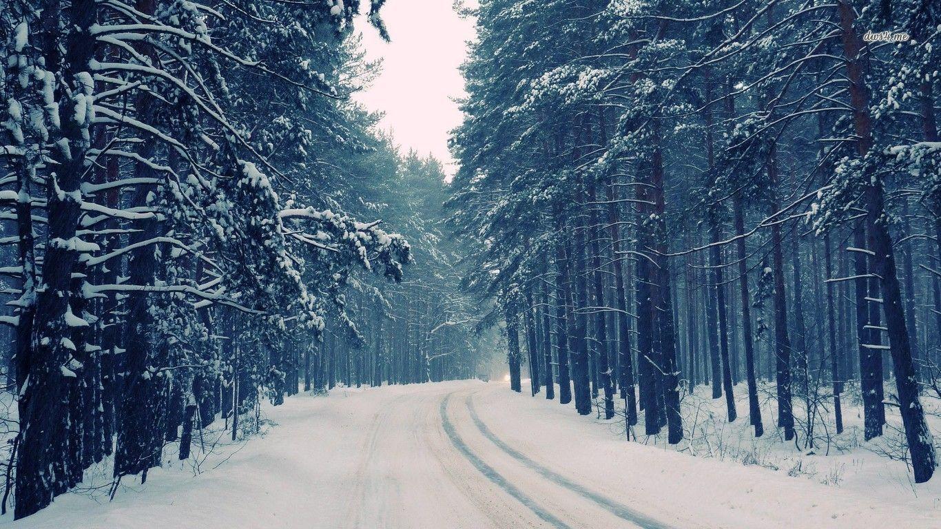 strada innevata pineta invernale, 1366x768 720p, iMac
