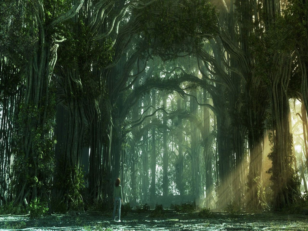 foresta fantasy raggi luce, 1280x960 HD, Desktop