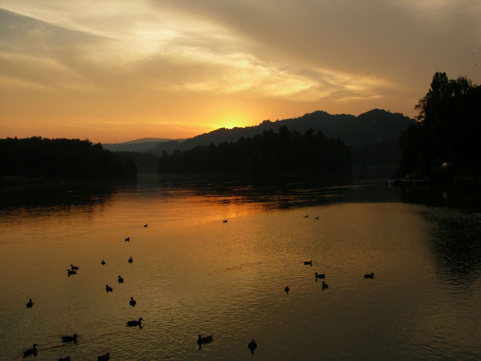 Tramonto su lago con anatre, 1600x1200 HD Ready, PC