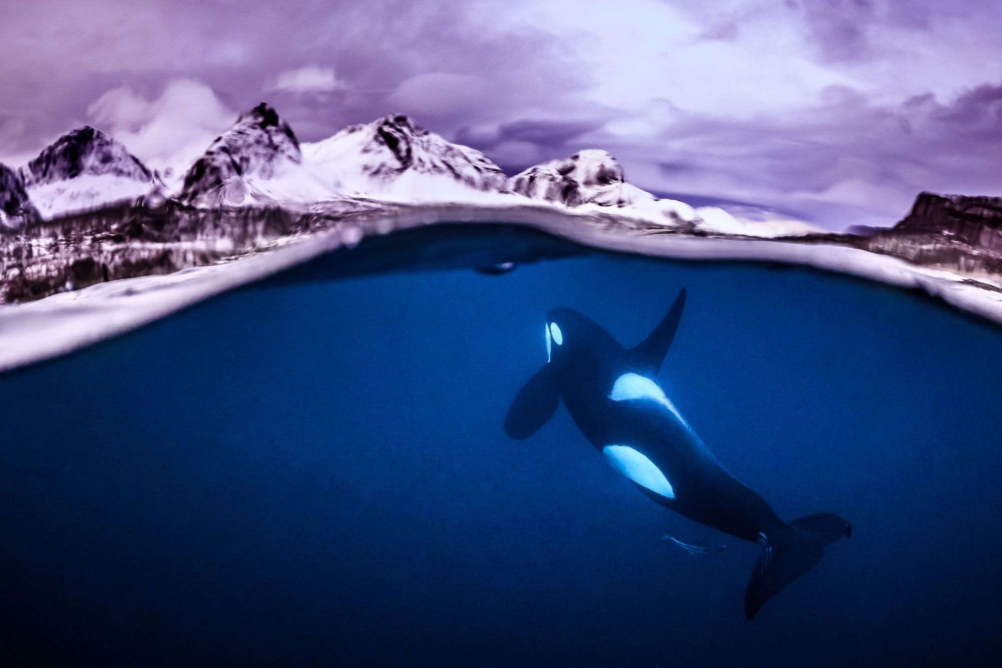 Orca sott'acqua montagne innevate, 2000x1333 Hi-Res, Desktop