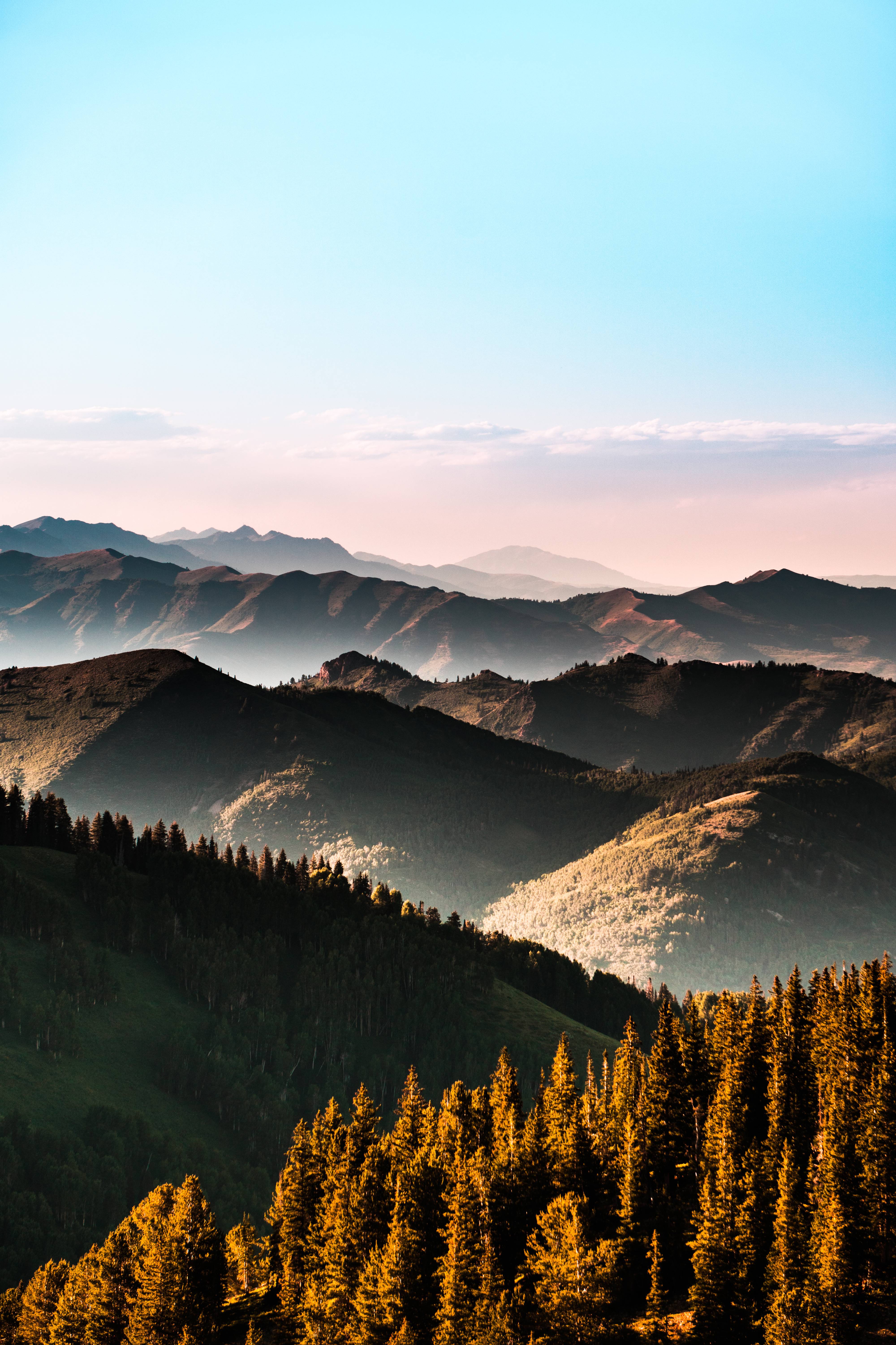 Montagne boscose all'alba, 4000x6000 Full HD Verticale, Samsung Galaxy
