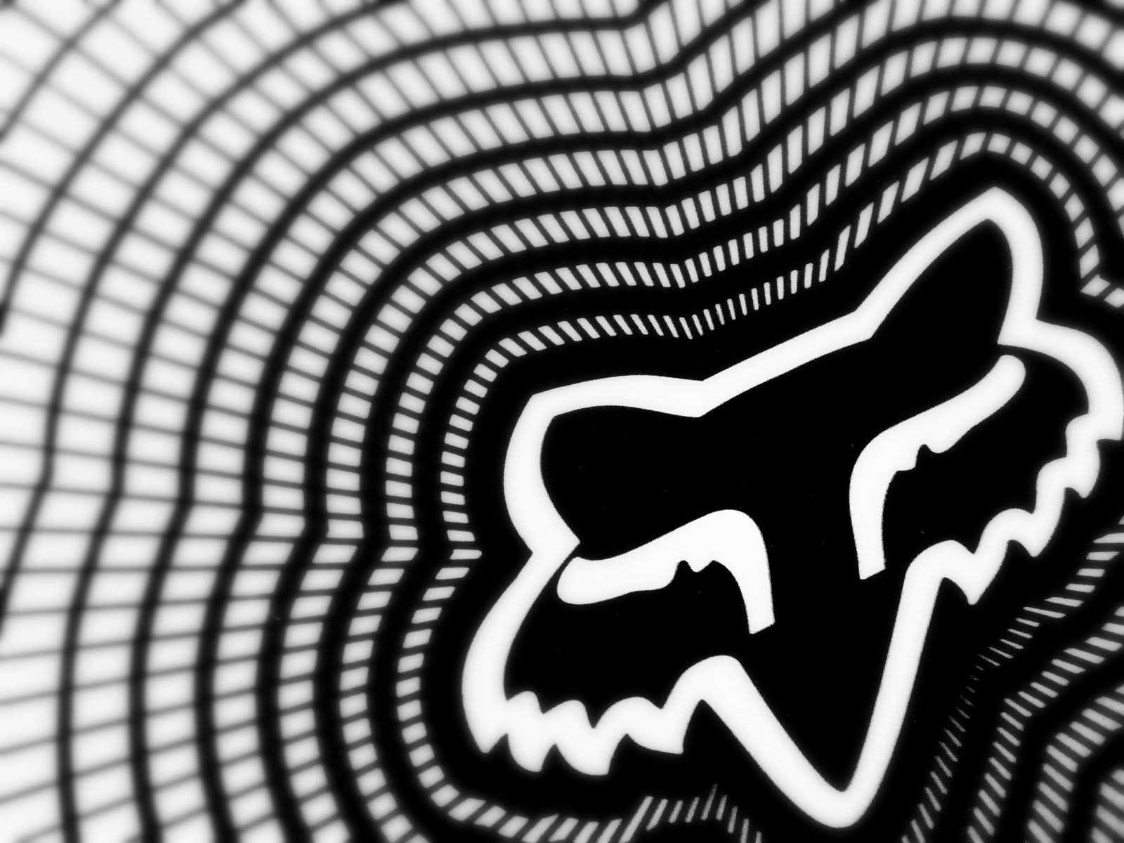 Logo Fox Racing bianco nero, abbigliamento, 1600x1200 900p, Laptop