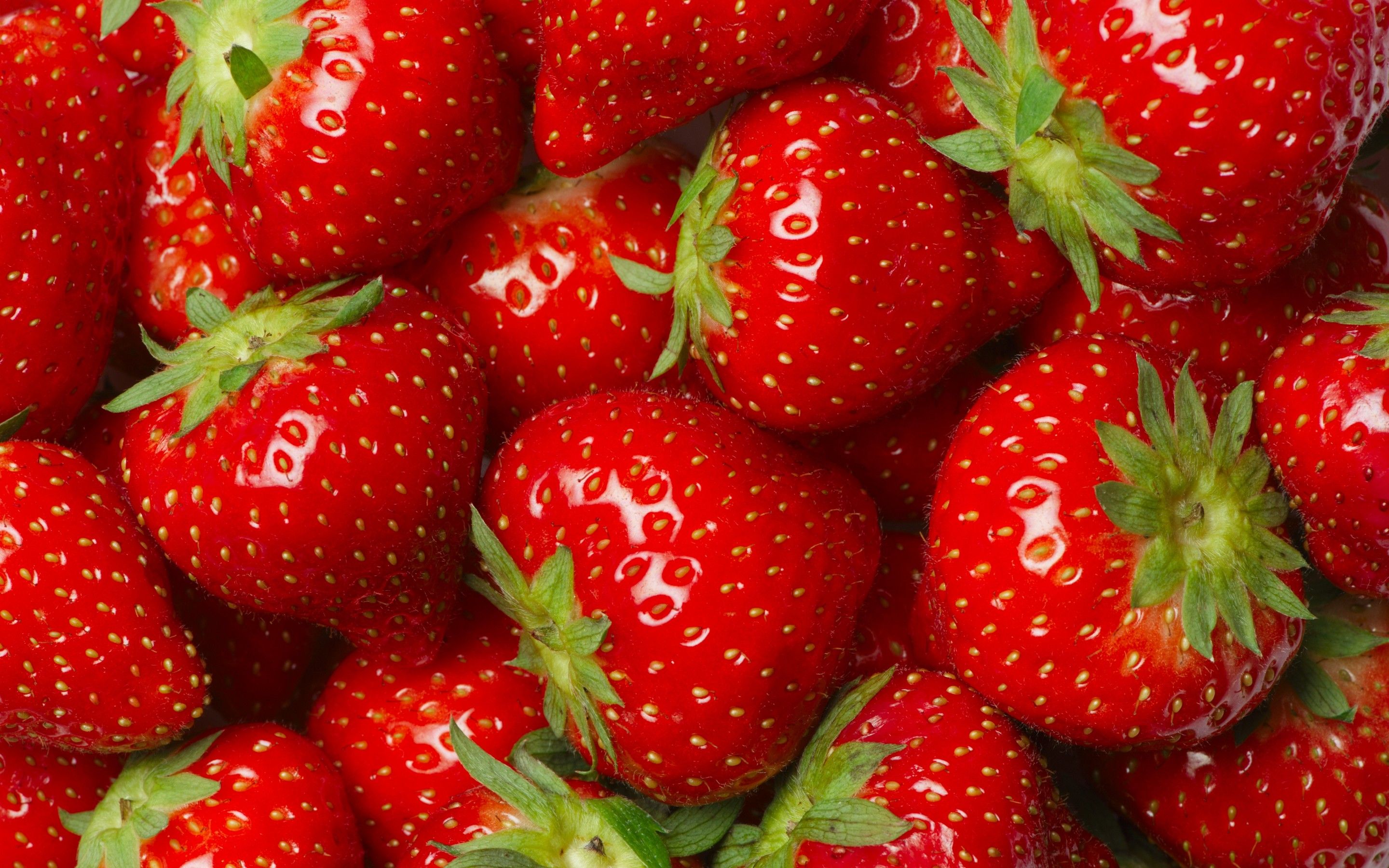 Fragole rosse mature, 2880x1800 2K+, Desktop