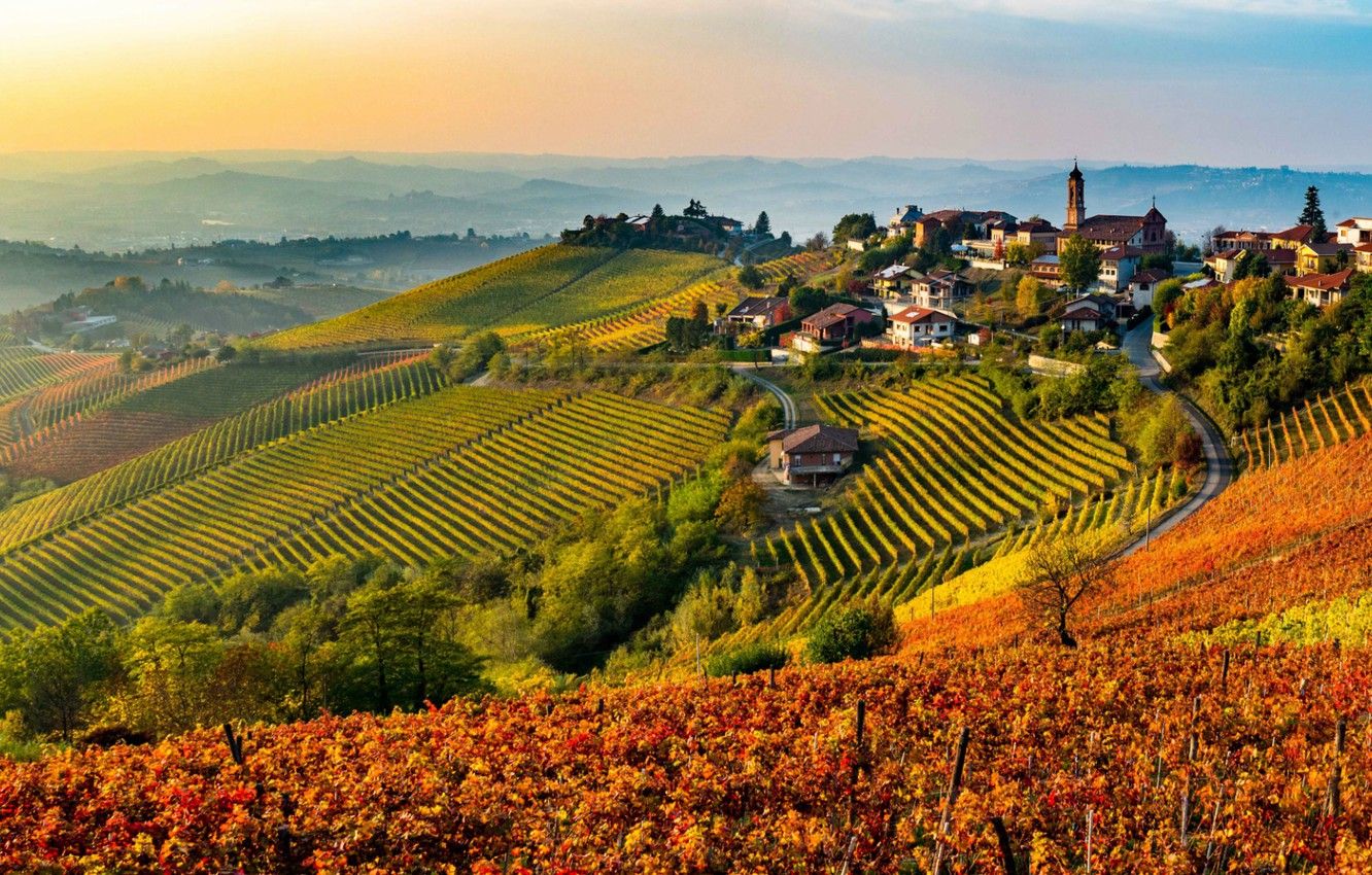 Vigneti autunnali collina francese, 1332x850 HD, Desktop