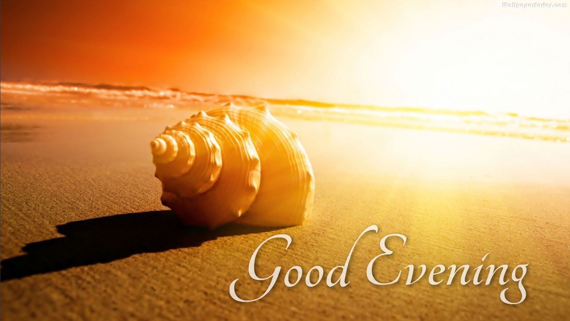 Conchiglia spiaggia tramonto dorato, 1920x1080 Full HD 1080p, PC