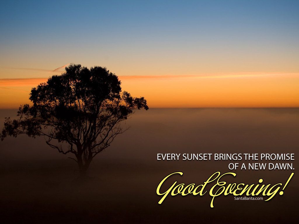 Albero silhouette tramonto nebbia, 1024x768 HD, PC Desktop