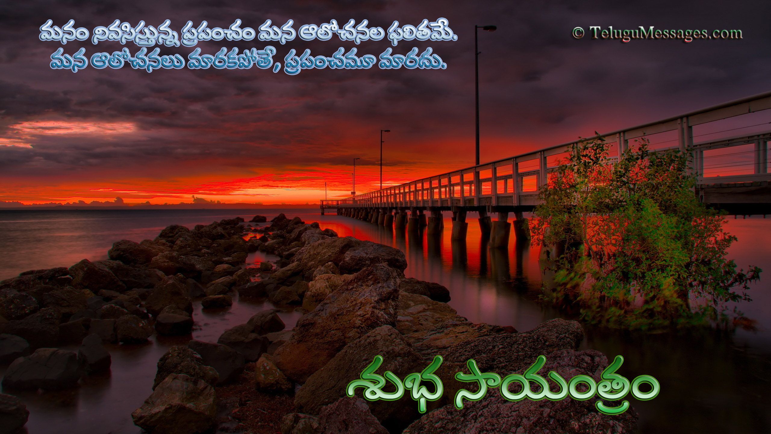 molo tramonto testo telugu, 2560x1440 2K QHD, PC
