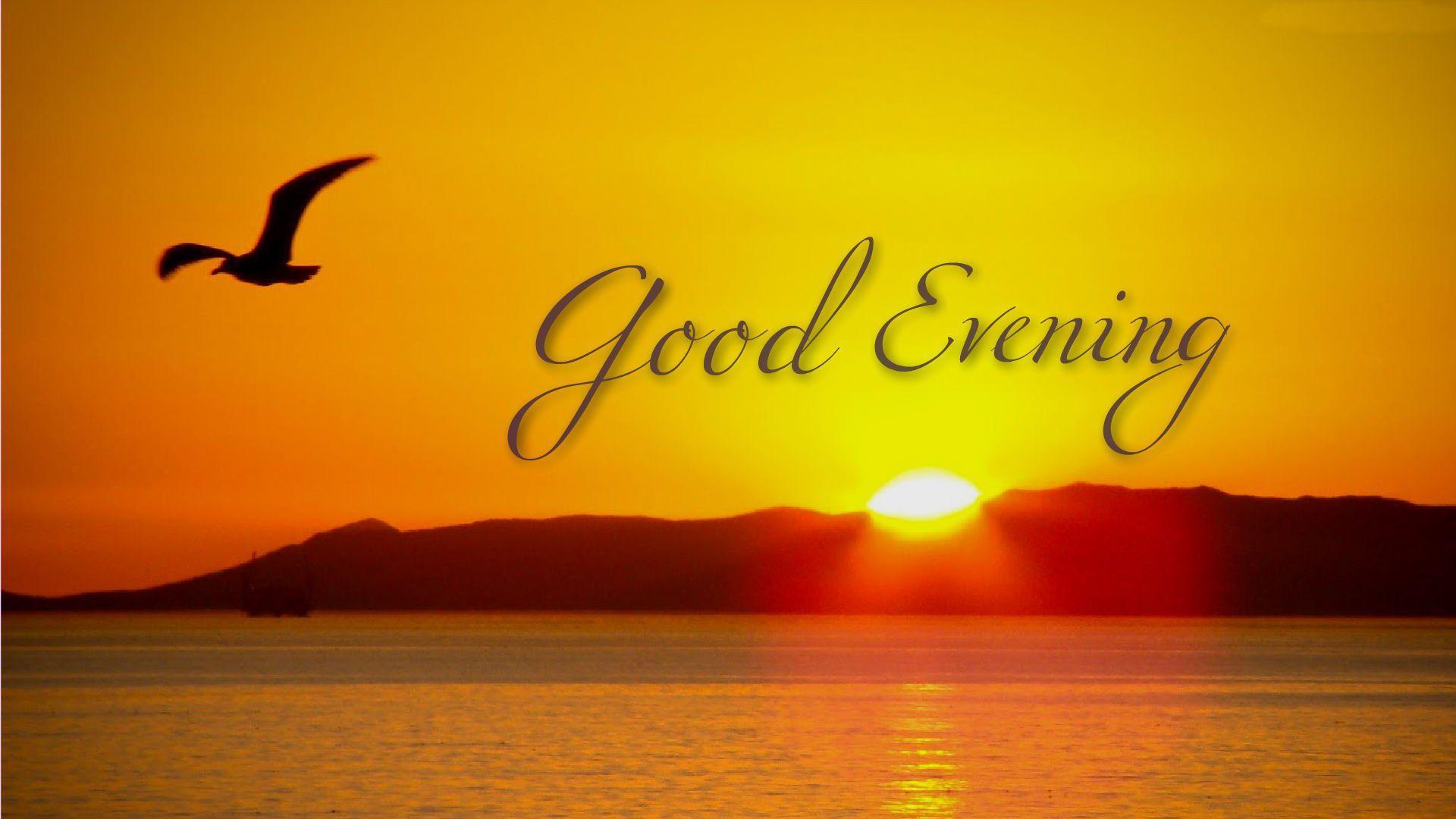 Tramonto con uccello e scritta, 1920x1080 Full HD 1080p, Desktop