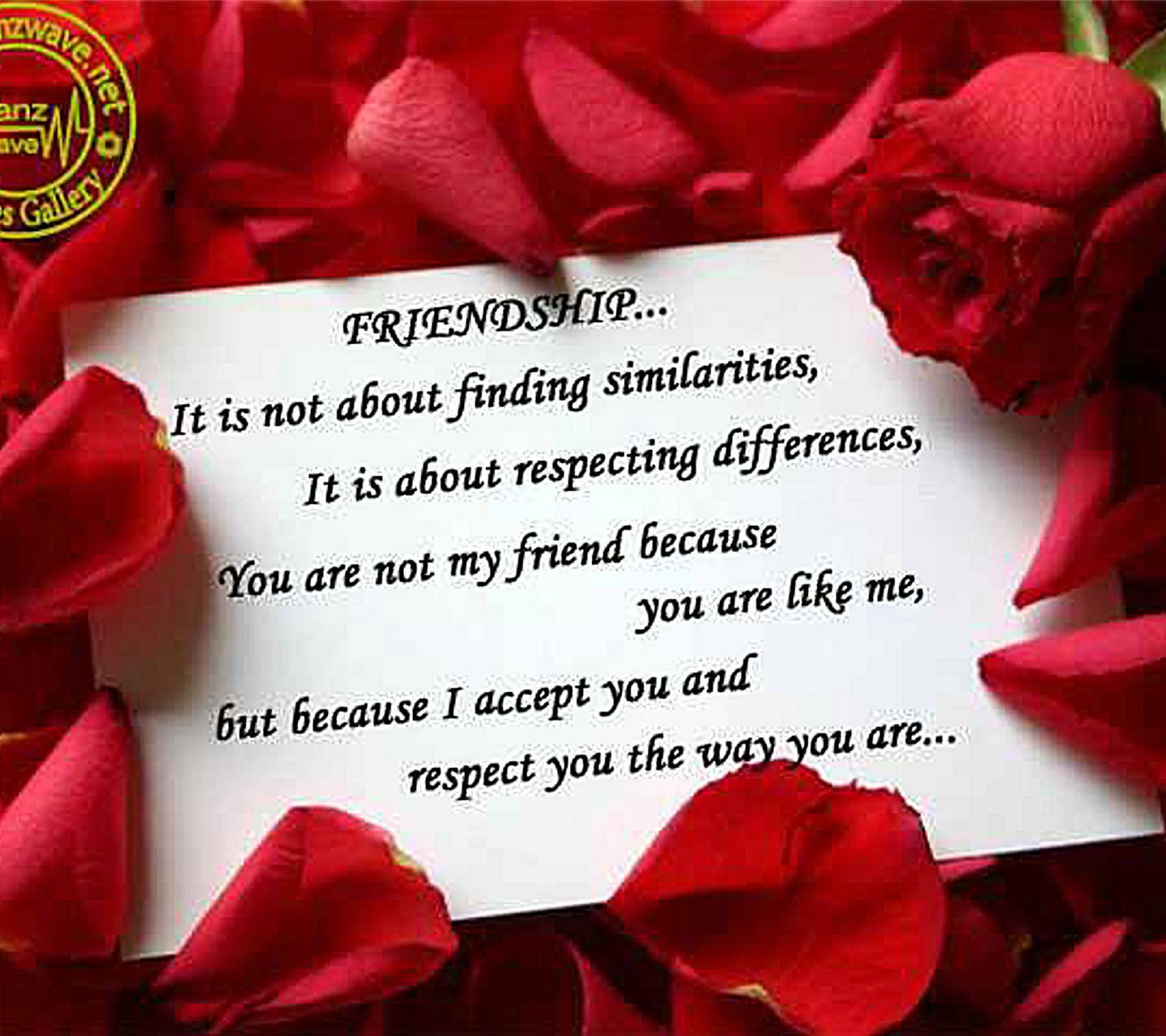 Frase amicizia su petali rosa rossa, 1440x1280 720p, Laptop