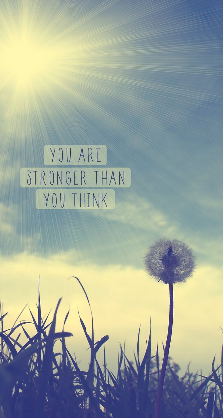 Tarassaco frase motivazionale, 736x1377 Full HD Verticale, iPhone Air