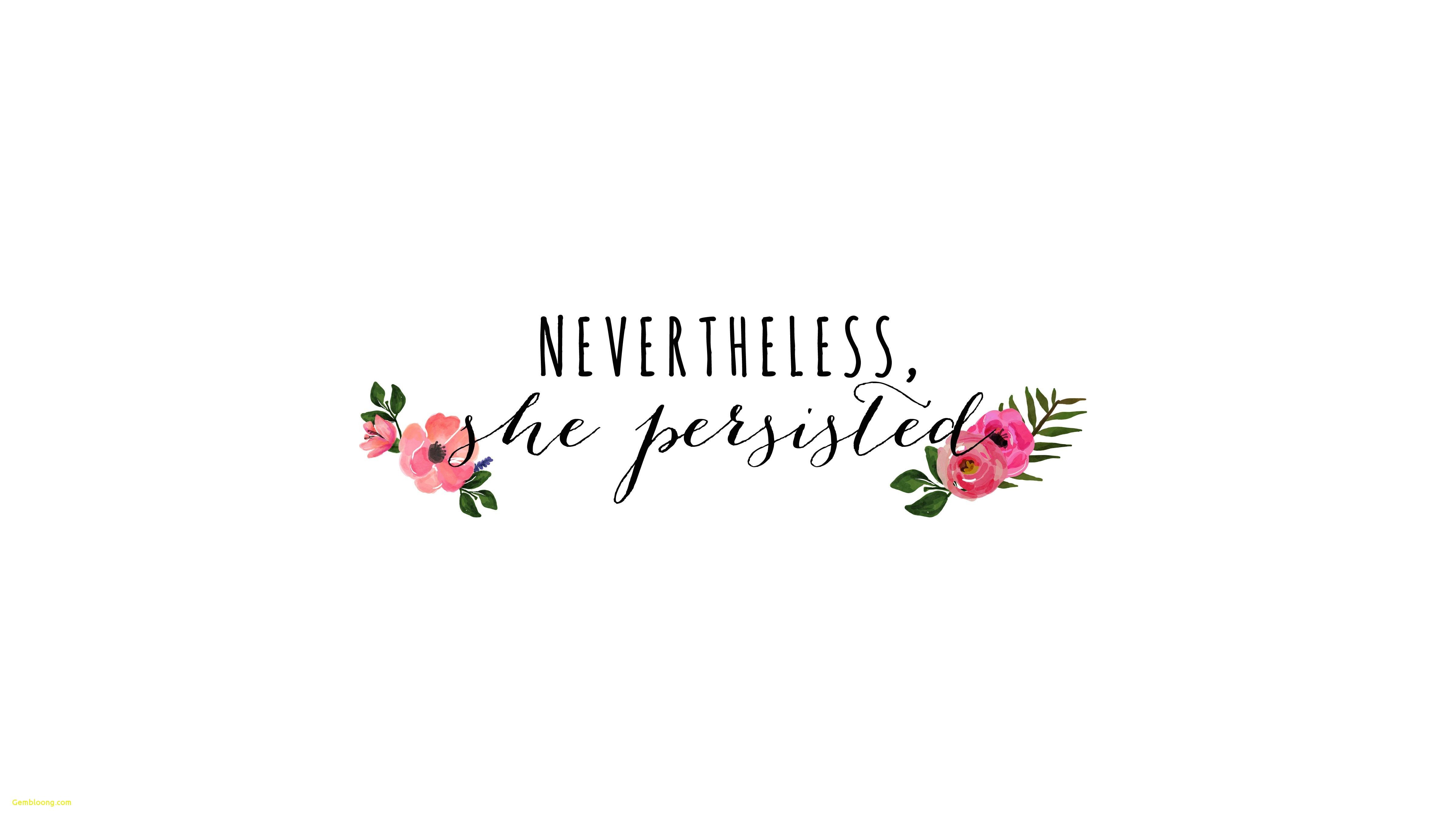 Frase motivazionale fiori rosa, 4800x2700 4K, Desktop 4K