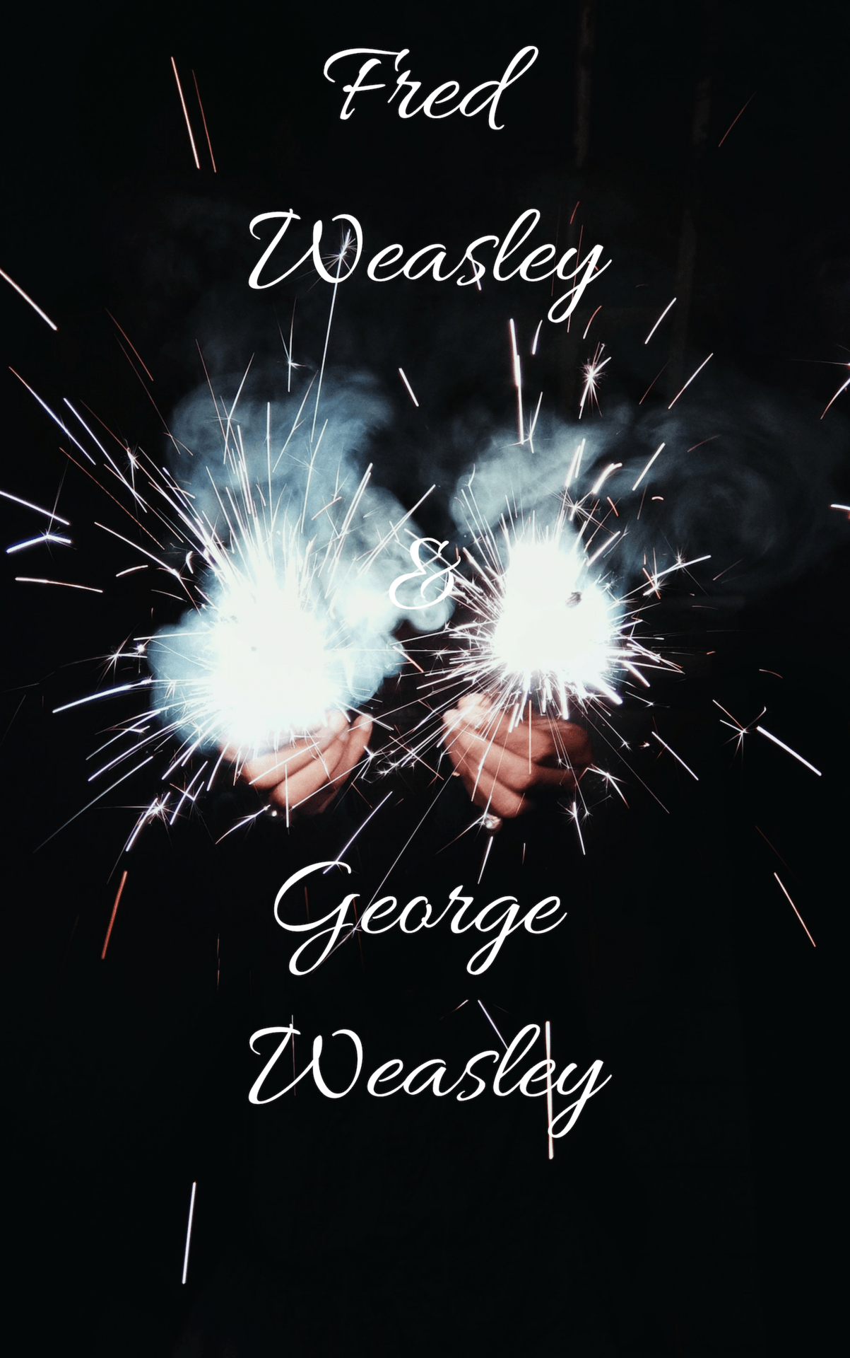 Fred e George Weasley, Harry Potter, 1024x768 HD, Laptop