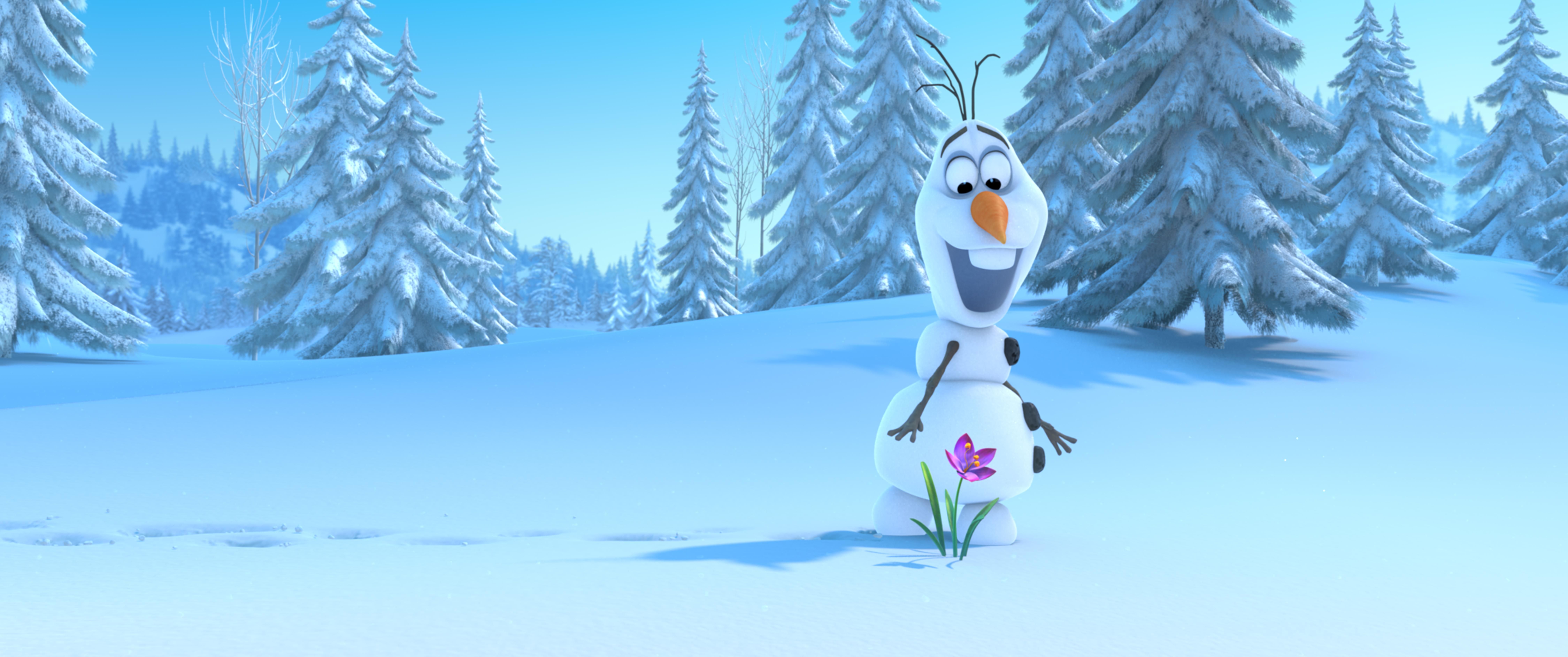 Olaf fiore nella neve, 9000x3770 Panoramico, PC Desktop