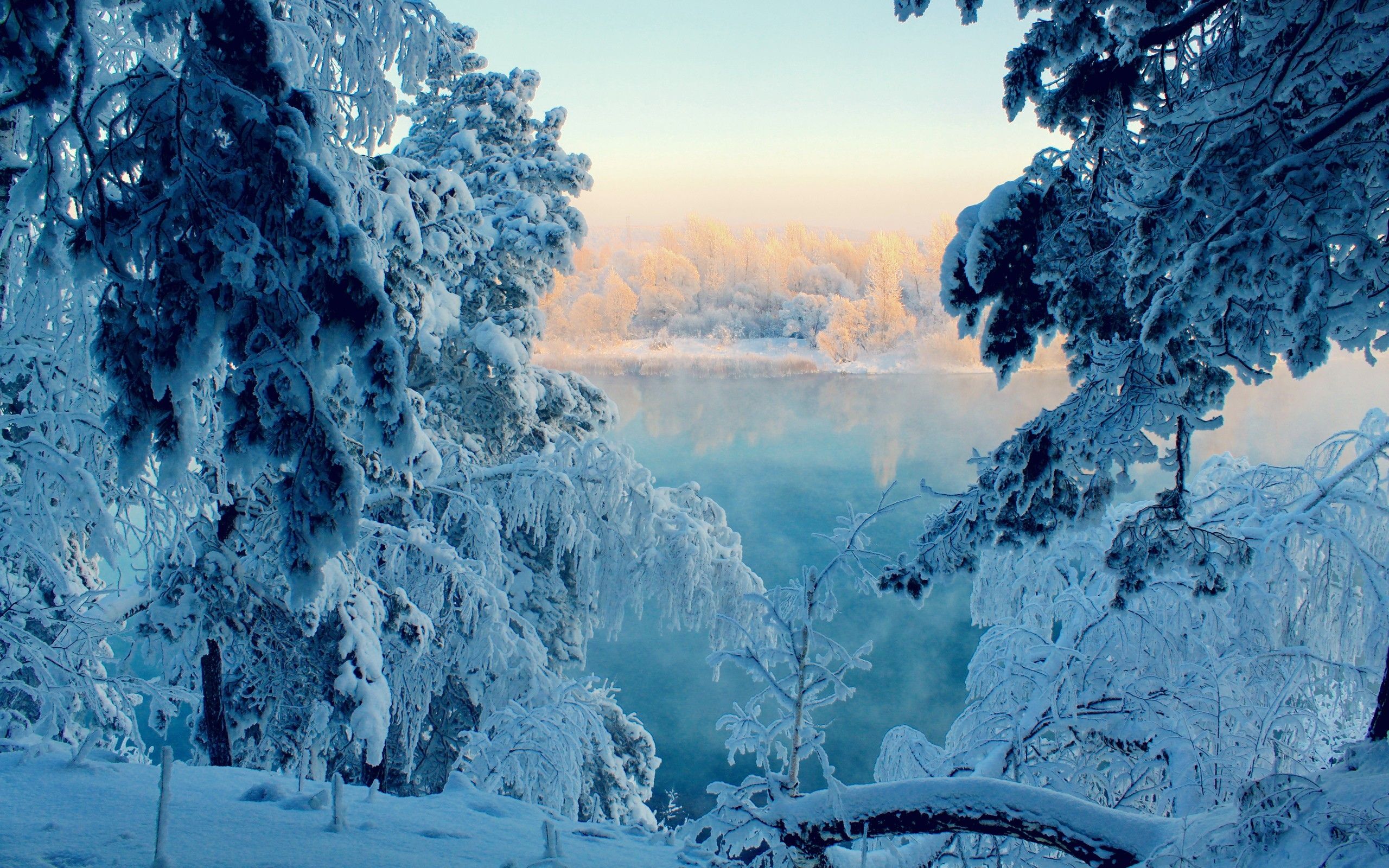 Lago ghiacciato alberi neve alba, 2560x1600 2K+, Monitor Gaming