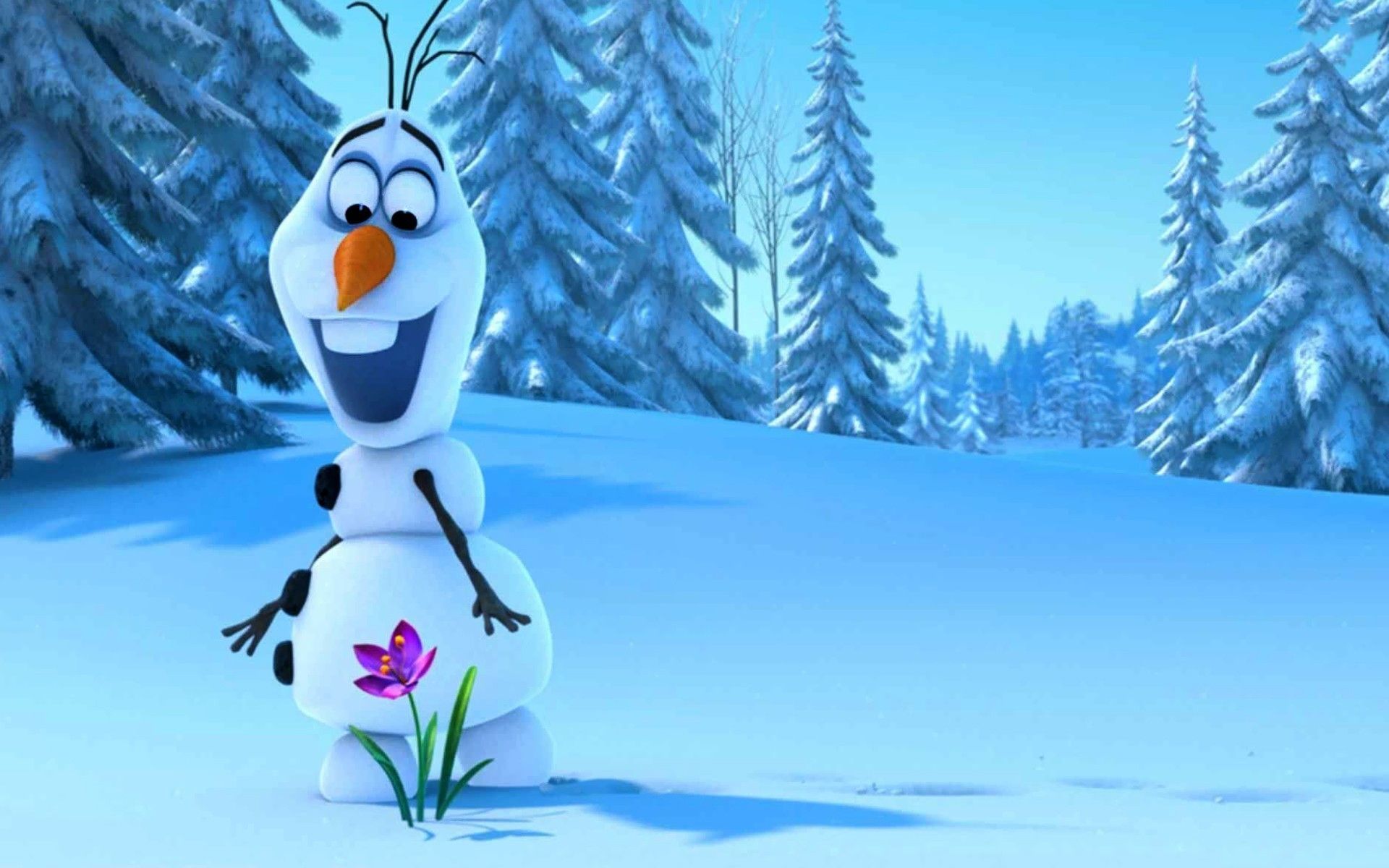 Olaf fiore bosco innevato, 1920x1200 WUXGA, PC Desktop